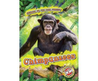 Chimpanzees by Grack, Rachel